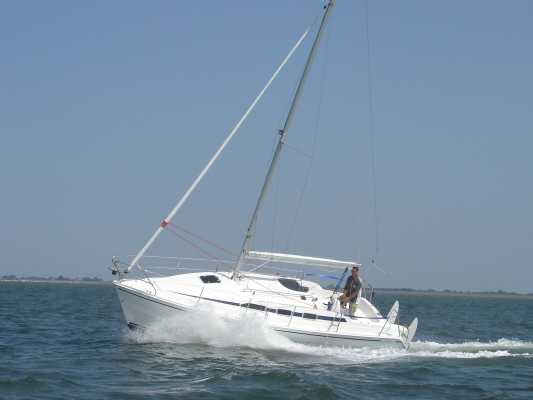 Imexus 28