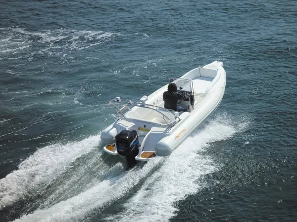 Speedster 5.90